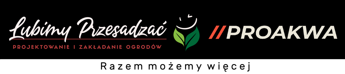 PROJEKT.REALIZACJA.SERWIS